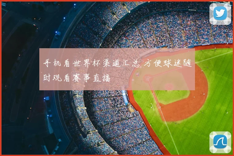 手机看世界杯渠道汇总 方便球迷随时观看赛事直播