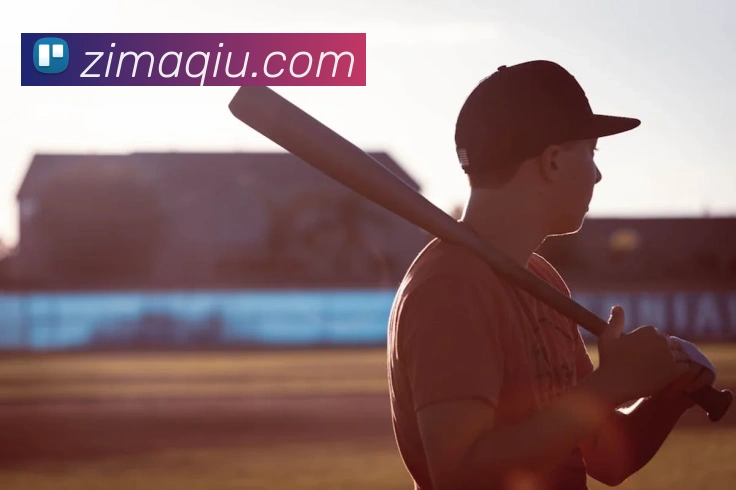 App Interface Preview